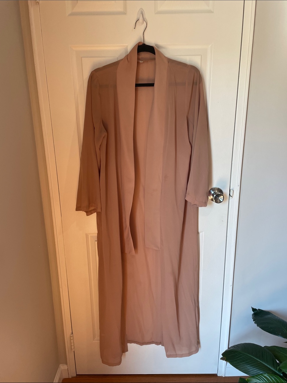 Sheer Long Robe - Blush
